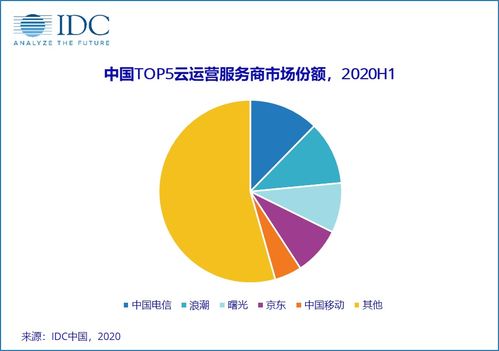 2020上半年中国云运营服务市场 百亿规模下的营销策划与批发服务新机遇